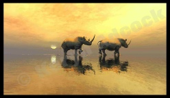 RhinoScene12